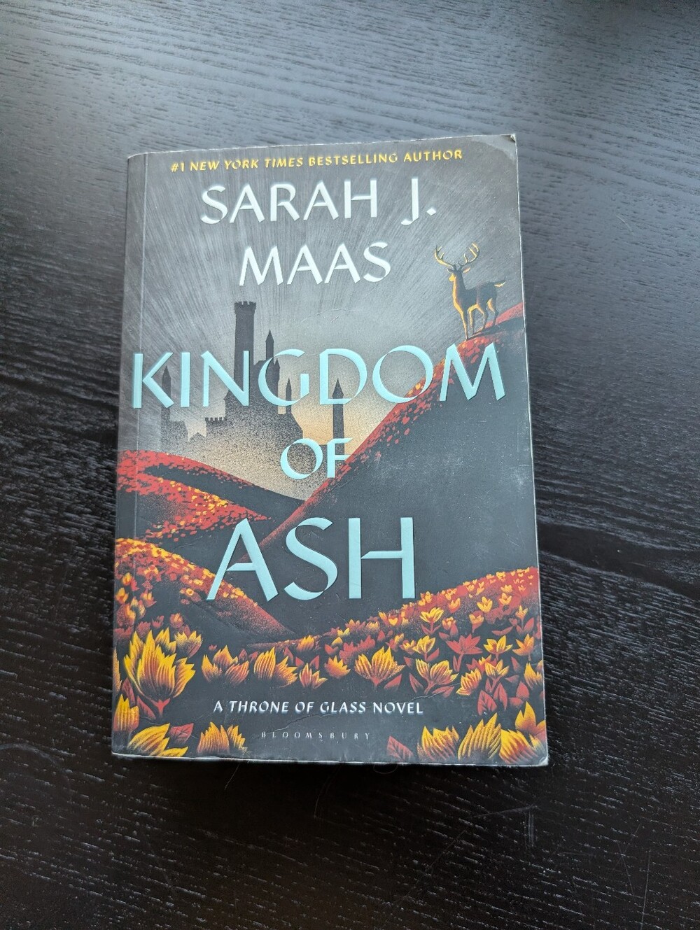 Kingdom Of Ash by Sarah J Maas